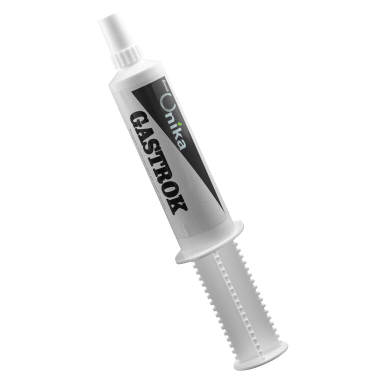 GASTROK PASTA (120 GR) UNIKA